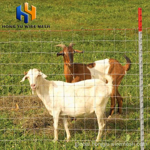 Farm Fence With Wire Mesh electric horse wire fence roll poultry netting Manufactory